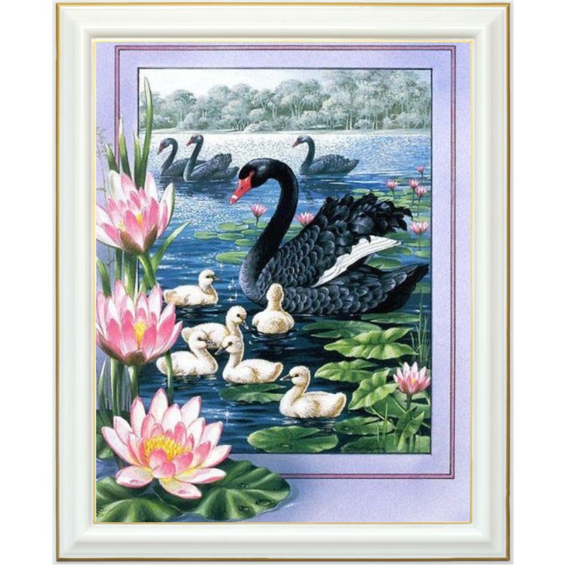 broderie-diamant-cygne-noir