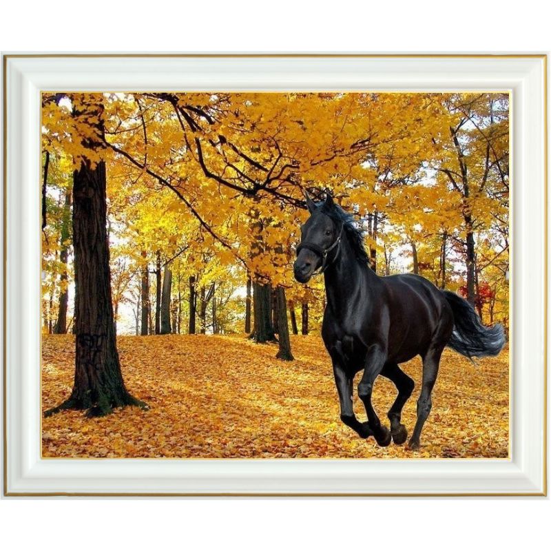 Broderie diamant - Cheval noir en forêt - 40 x 50 cm