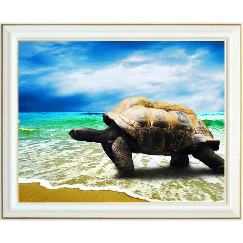 diamond-painting-tortue-plage