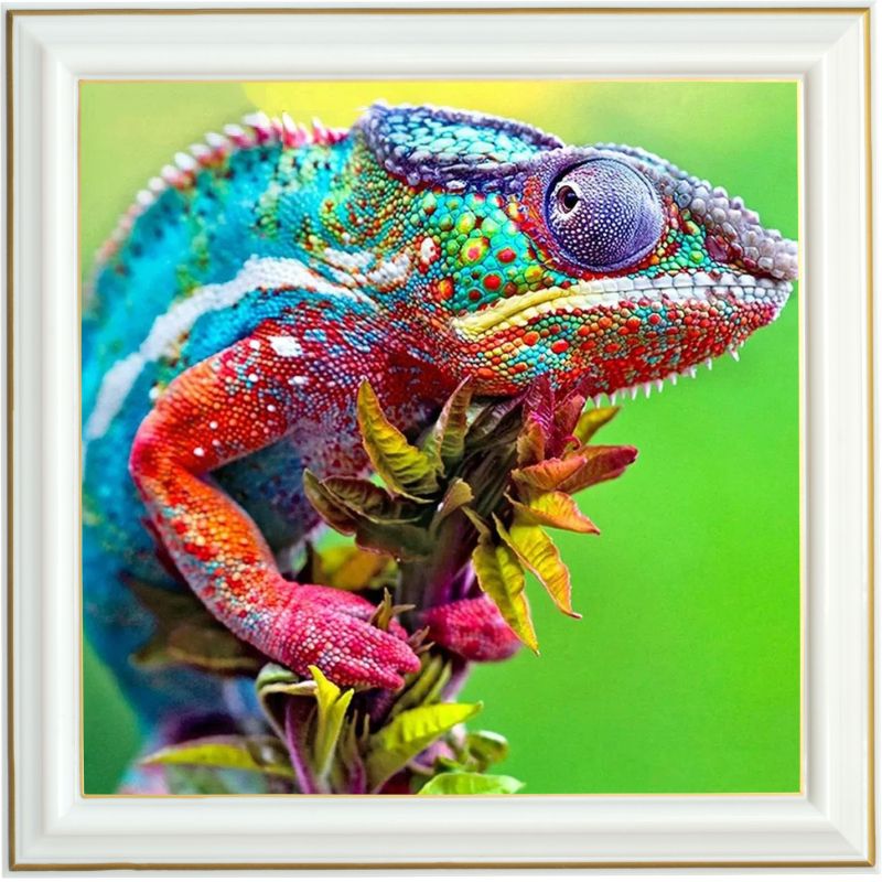 broderie-diamant-caméléon