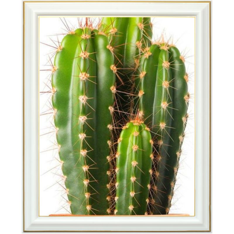 Broderie diamant - Cactus - 40 x 50 cm