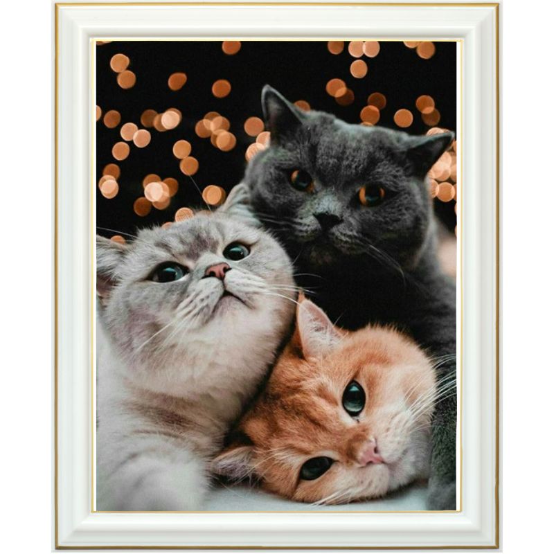 Diamond painting - Frères chats - 40 x 50 cm