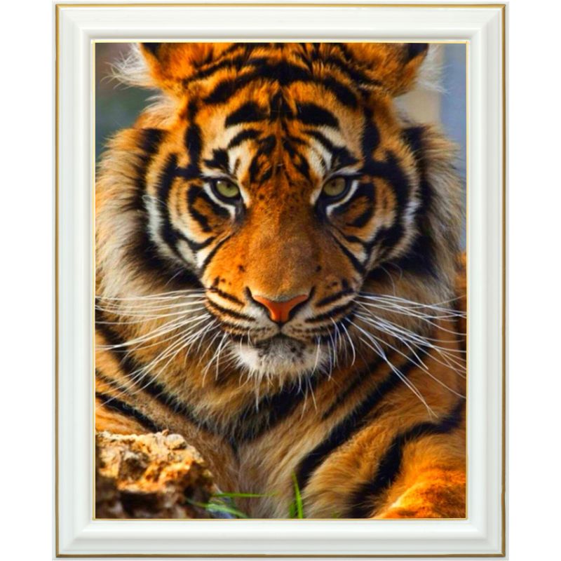 Broderie diamant - L\'œil du tigre - 40 x 50 cm
