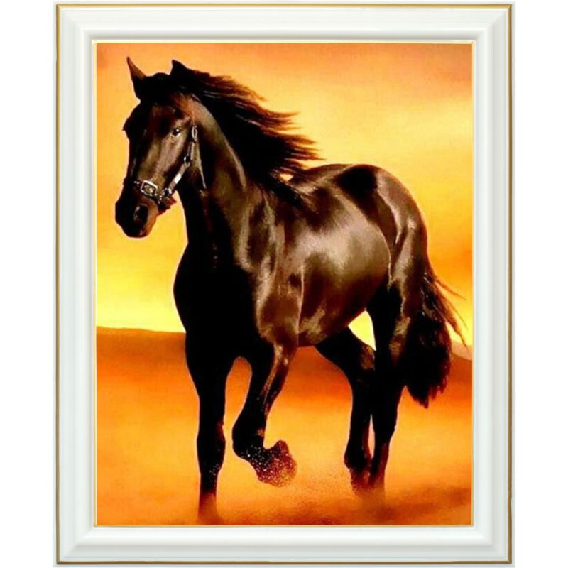 Diamond painting - Cheval noir du sahara