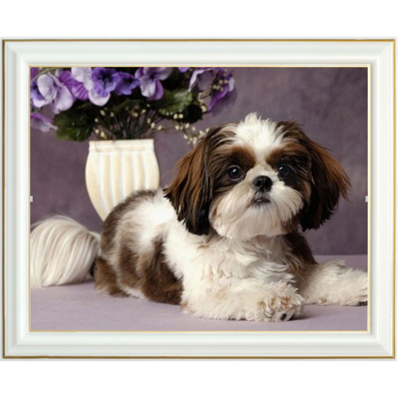 Broderie diamant - Shih Tzu