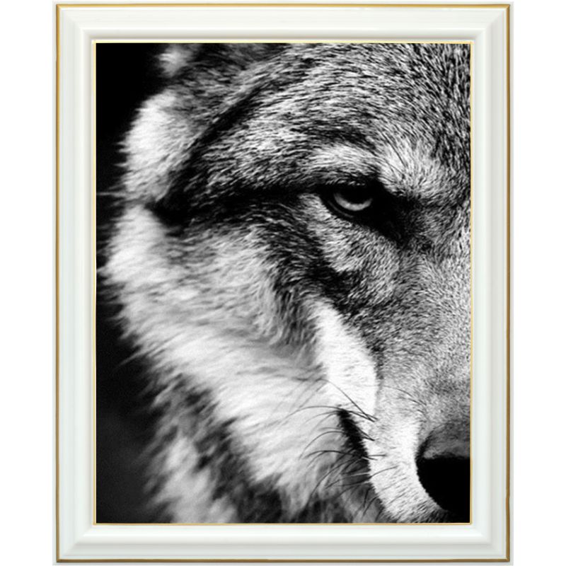 diamond-painting-attrape-reves-loup (1)