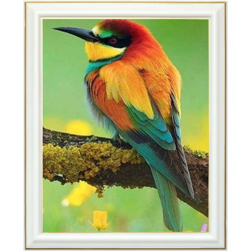 Diamond painting - Guêpier d\'Europe