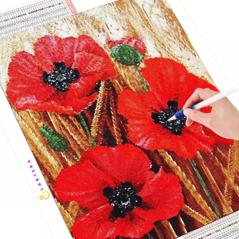 caneva coquelicots