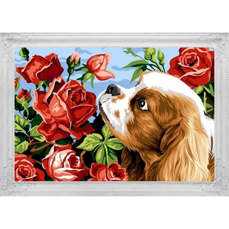 broderie diamant-roses-cavalier-king-charles-lartera