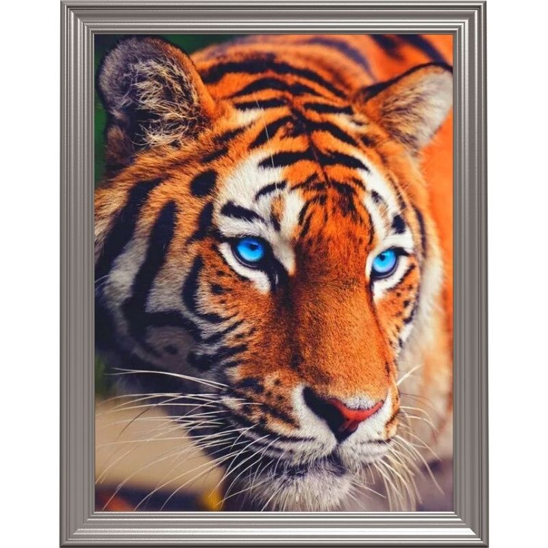 Broderie diamant - Tigre du Bengale aux yeux bleus