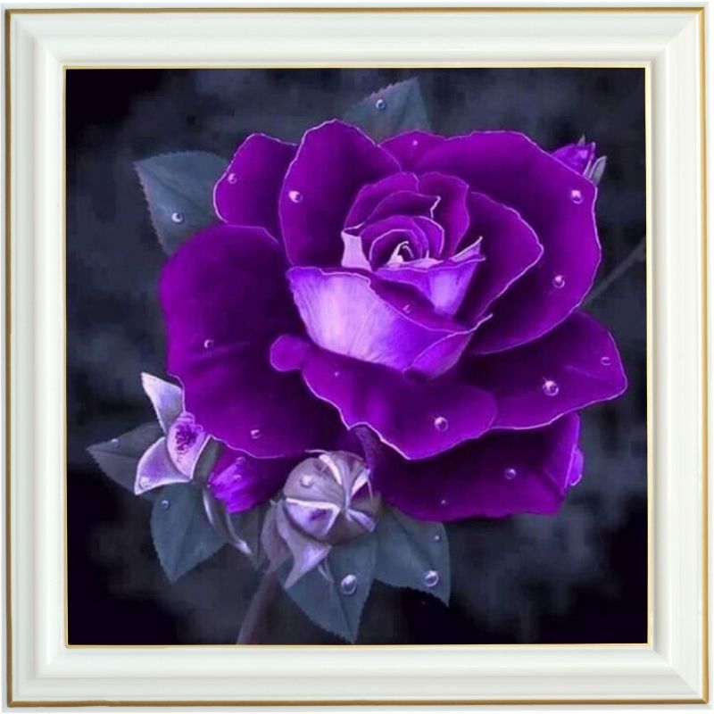 Broderie diamant - Rose violette - 40 x 40 cm