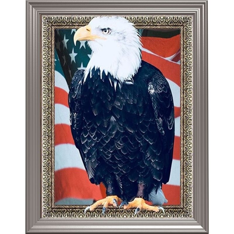 Broderie diamant  - Pygargue à tête blanche USA
