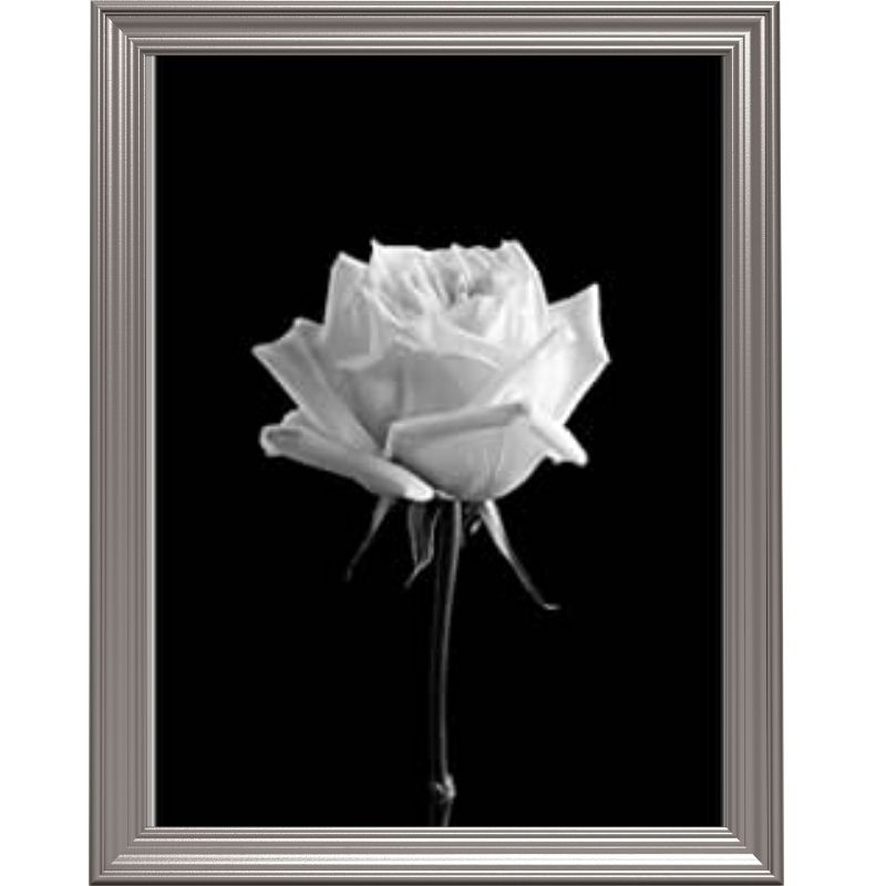 Broderie diamant - Rose blanche