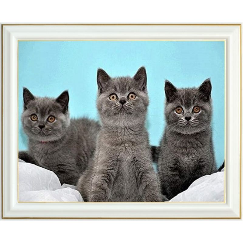Broderie diamant - Trois chats gris