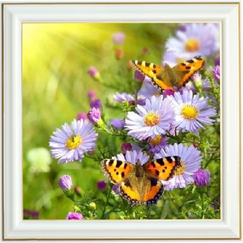 broderie-diamant-aster-amelle-papillons