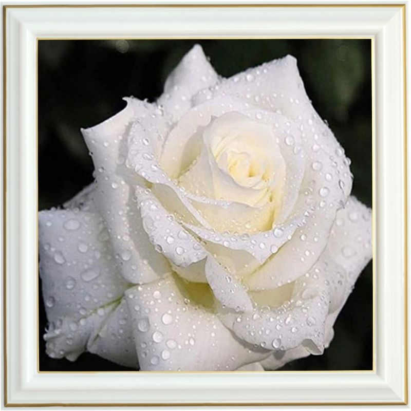 Broderie diamant - Rose aux pétales blanches