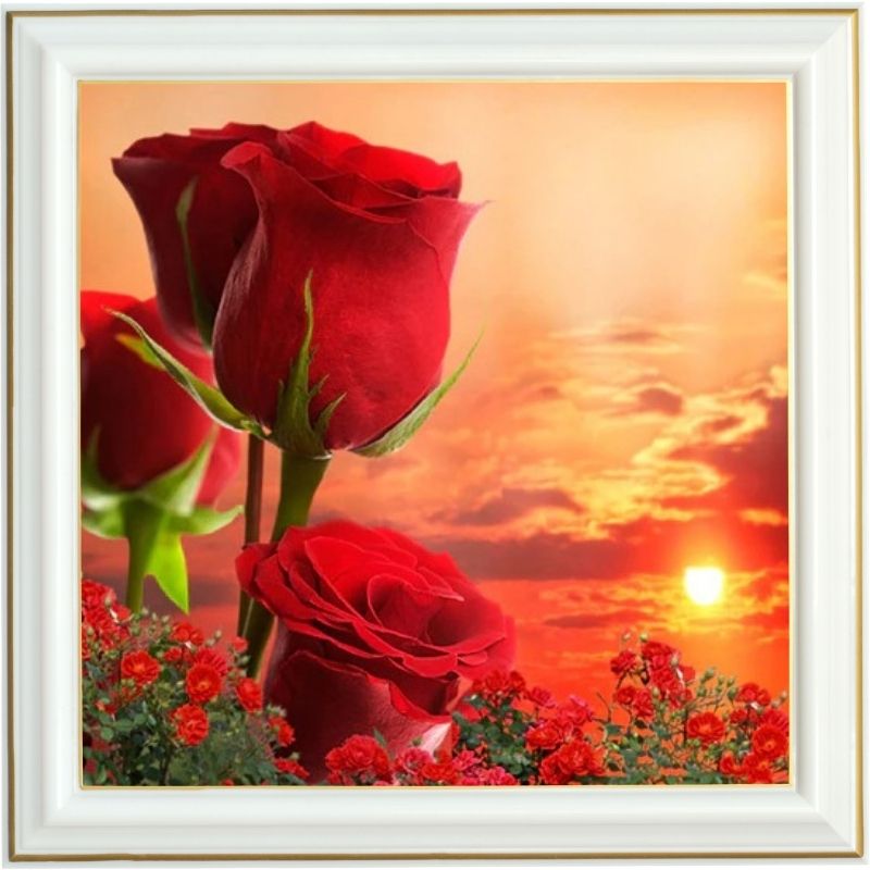 Broderie diamant - Rose rouge et coucher de soleil