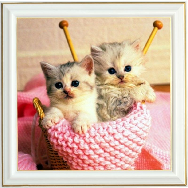 Broderie diamant - Chatons tricoteurs