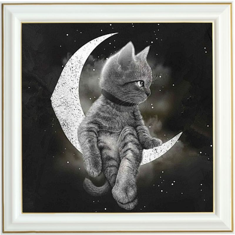 Broderie diamant - Chaton et lune