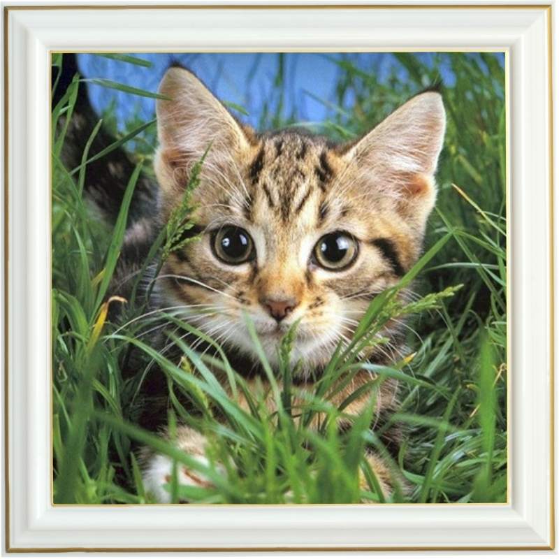 broderie-diamant-chat-herbe
