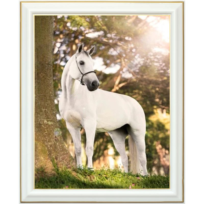 diamond-painting-cheval-blanc