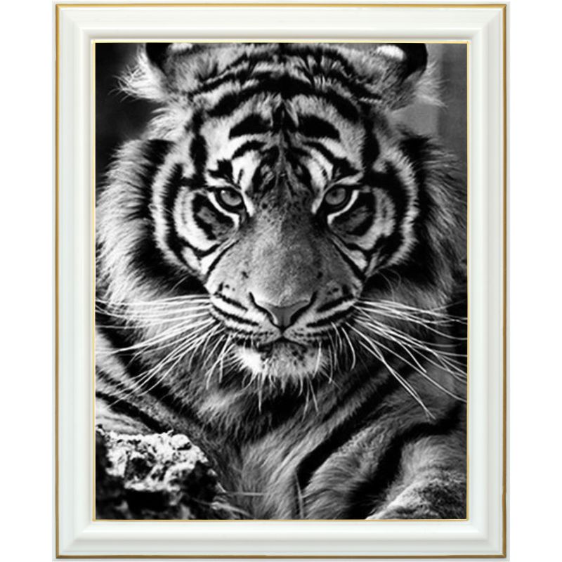 Broderie diamant - Tigre austère - 40 x 50 cm