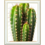 broderie-diamant-cactus