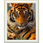 diamond-painting-tigre-roux