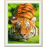 diamond-painting-tigre-malaisie