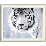 diamond-painting-tigre-blanc