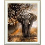 diamond-painting-éléphant-afrique