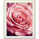 diamond-painting-rose-damas