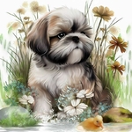 broderie-point-de-croix-shih-tzu