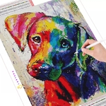 caneva chien coloré