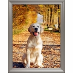 diamond-painting-golden-retriever-lartera