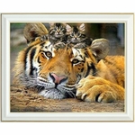 diamond-painting-chatons-tigre