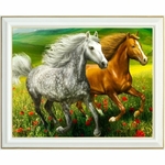 diamond-painting-chevaux