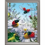 broderie-diamant-coccinelles