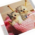 toile-chatons-tricoteurs