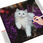 toile-chat-noir-blanc-lavande