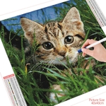 HUACAN-peinture-diamant-5d-autocollant-mural-mosa-que-de-chat-herbe-Animal-d-cor-de-maison
