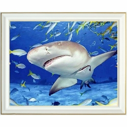 diamond-painting-requin