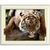 diamond-painting-tiger
