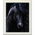 diamond-painting-cheval-noir (1)