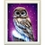 diamond-painting-hibou-neige