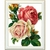 peinture-diamant-roses-fleur
