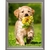 Broderie-diamant-Golden-retriever-chiot-lartera