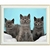 diamond-painting-chat-gris