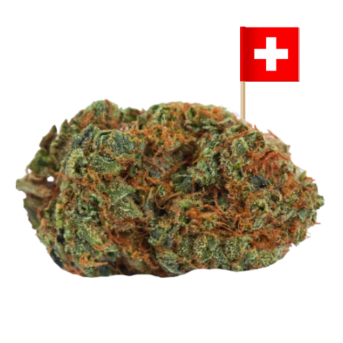 Lava Herbora