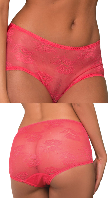 culotte dentelle travesti 38 au 50 (1)